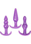 Trinity Vibes Anal Trainer Anal Play Kit - Purple - 3 Piece