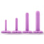Wellness Dilator Kit Silicone - Purple - 4 Per Set