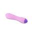 Wellness G Curve Rechargeable Silicone G-Spot Vibrator - Pink/Purple