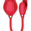 Wild Rose and Bullet Rechargeable Silicone Clitoral Stimulator with Suction - Red